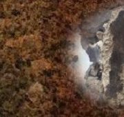 تفاله انگور