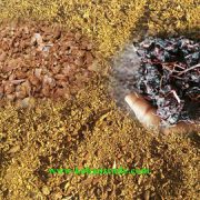 فروش تفاله انگور