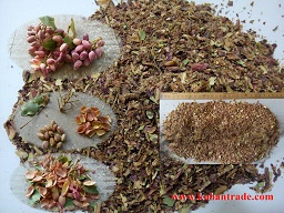 خواص پوست پسته خواص پوست پسته